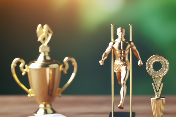 Metformin hydrochloride in weight control and athletic performance